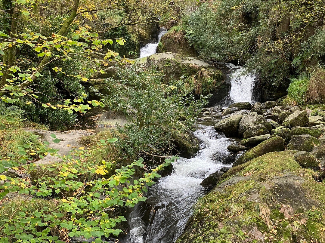 Dolgoch Falls-雪墩国家公园必去景点