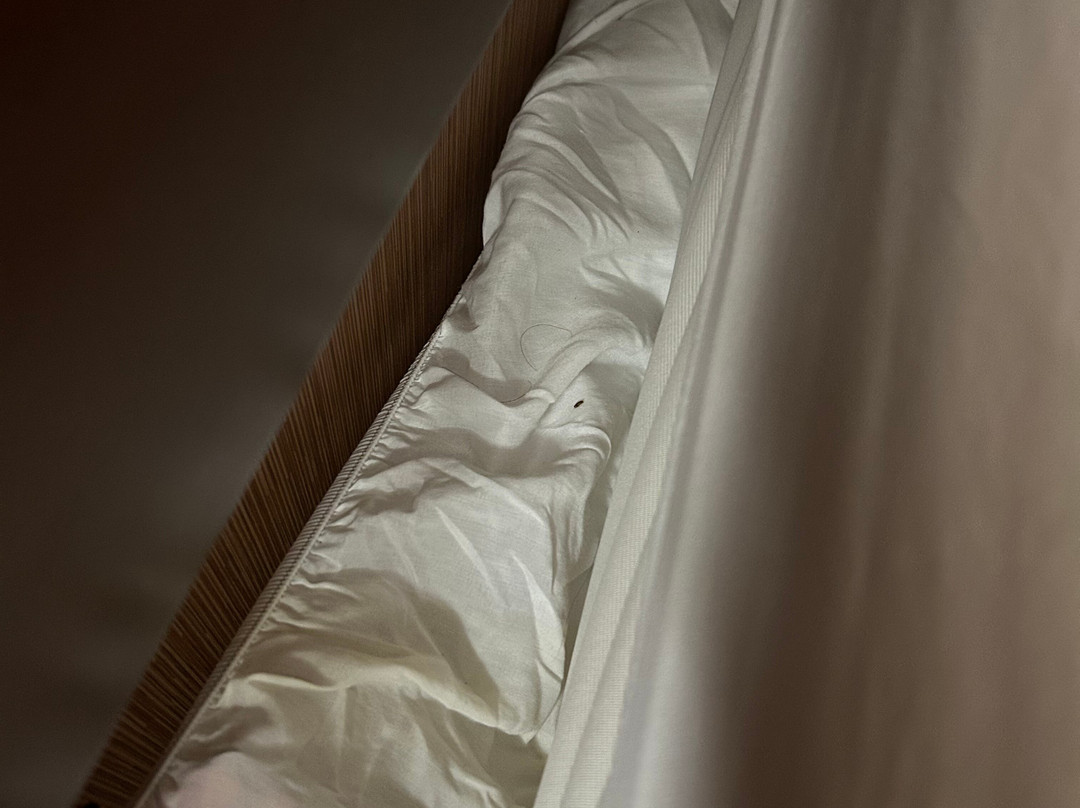 Days Inn by Wyndham Westminster主图