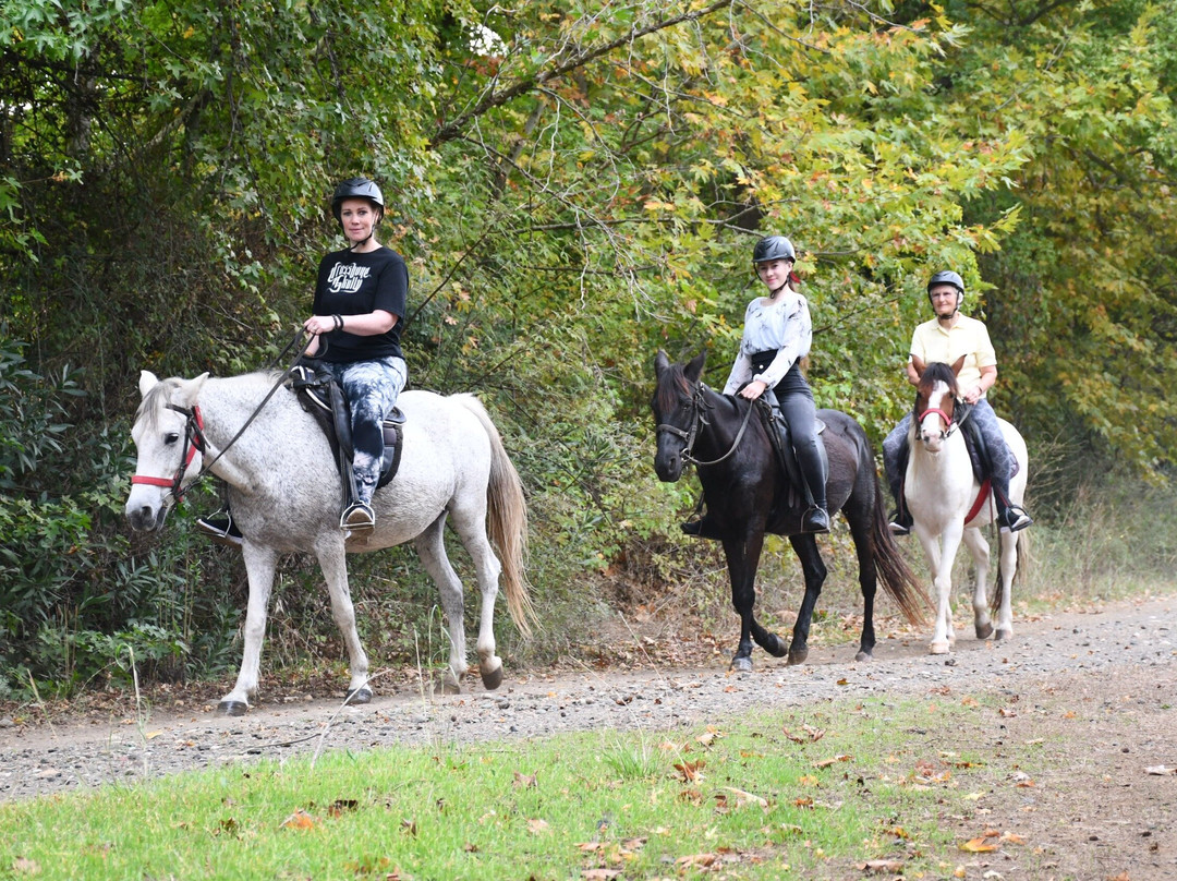 Pinar Horse Safari-马尔马里斯必去景点