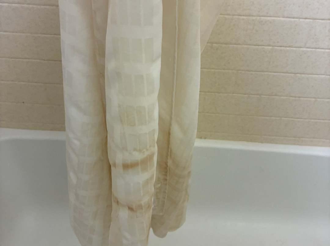 学院站大学洲际Candlewood Suites酒店主图