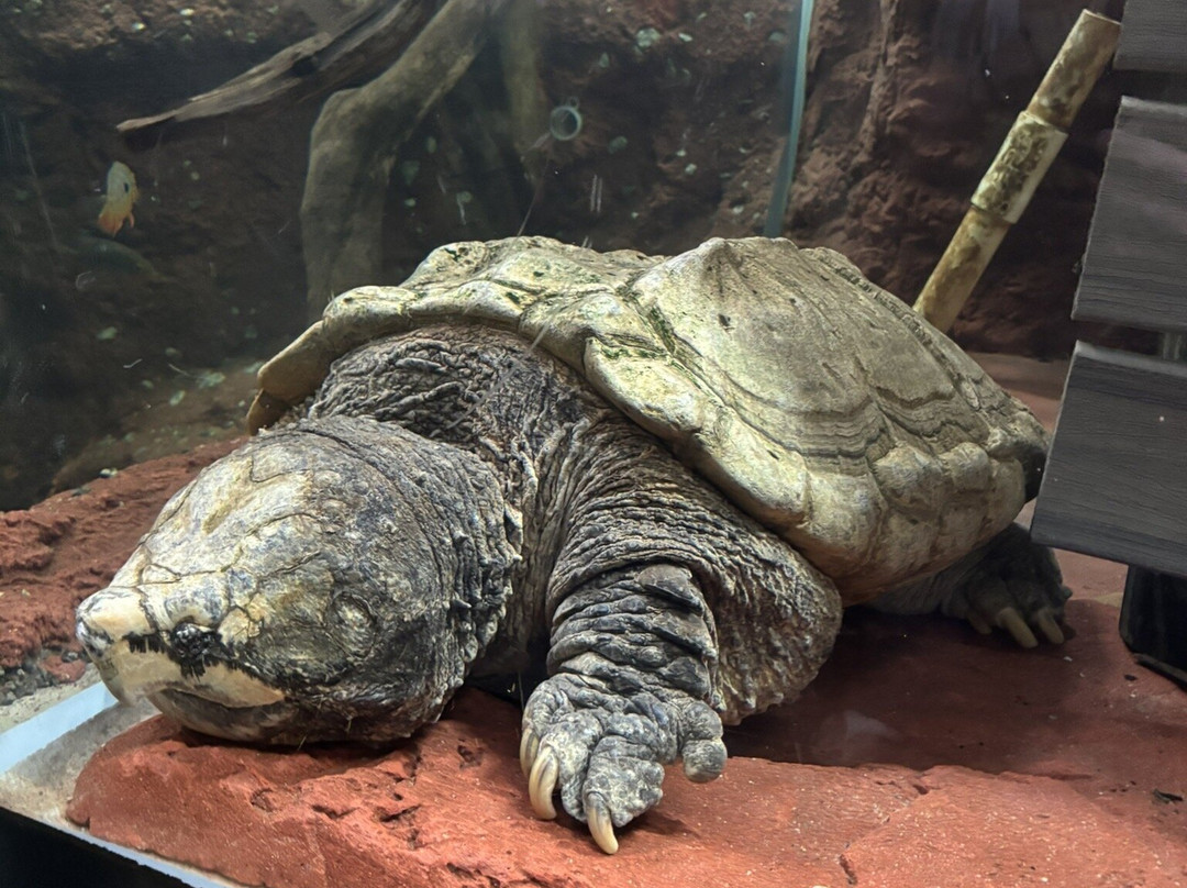 Greensboro Science Center-戈尔兹伯勒必去景点