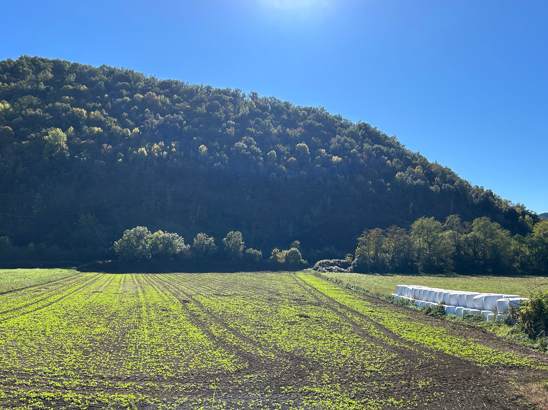 La Fageda d'en Jorda-Santa Pau必去景点
