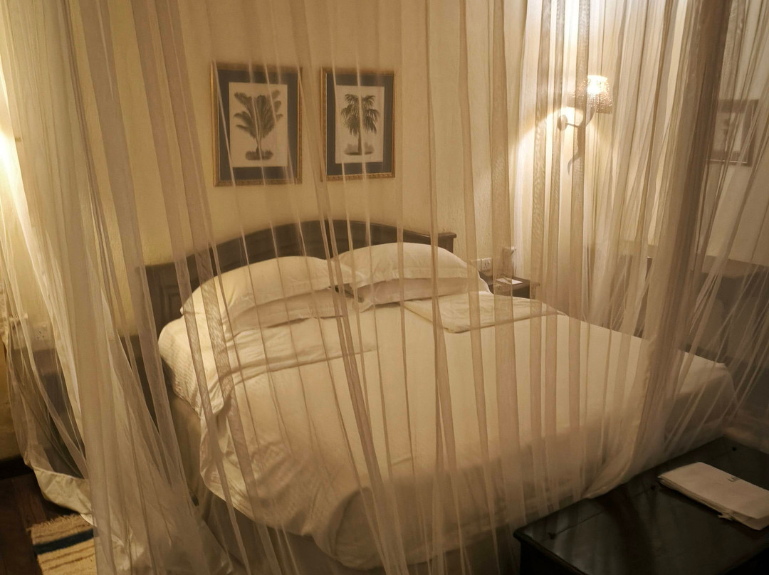 基拉库尼赛雷那野生动物园旅馆主图