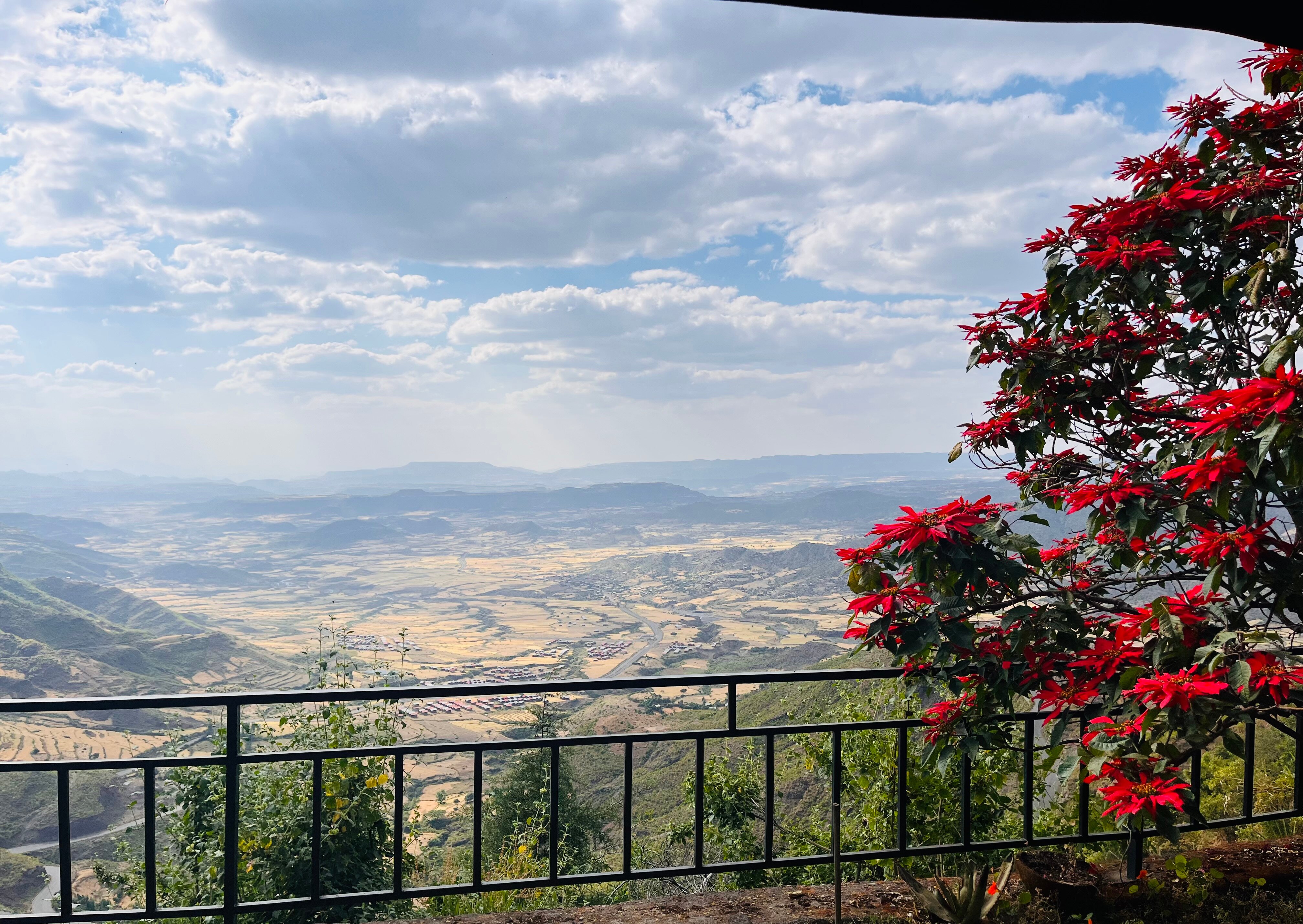 Top Twelve Hotel-官方