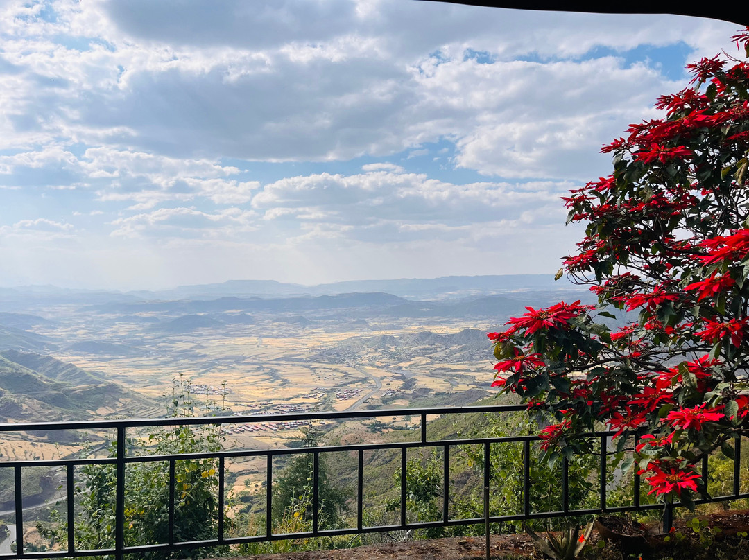 Top Twelve Hotel主图