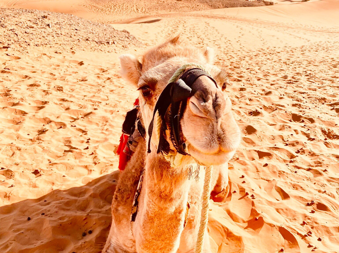 Your Morocco Tour-马拉喀什必去景点