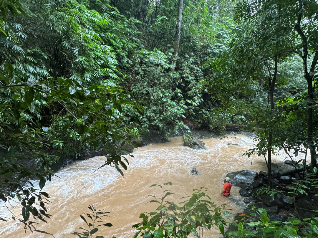 Uvita Paradise Adventures ( Zip Line)-乌维塔必去景点