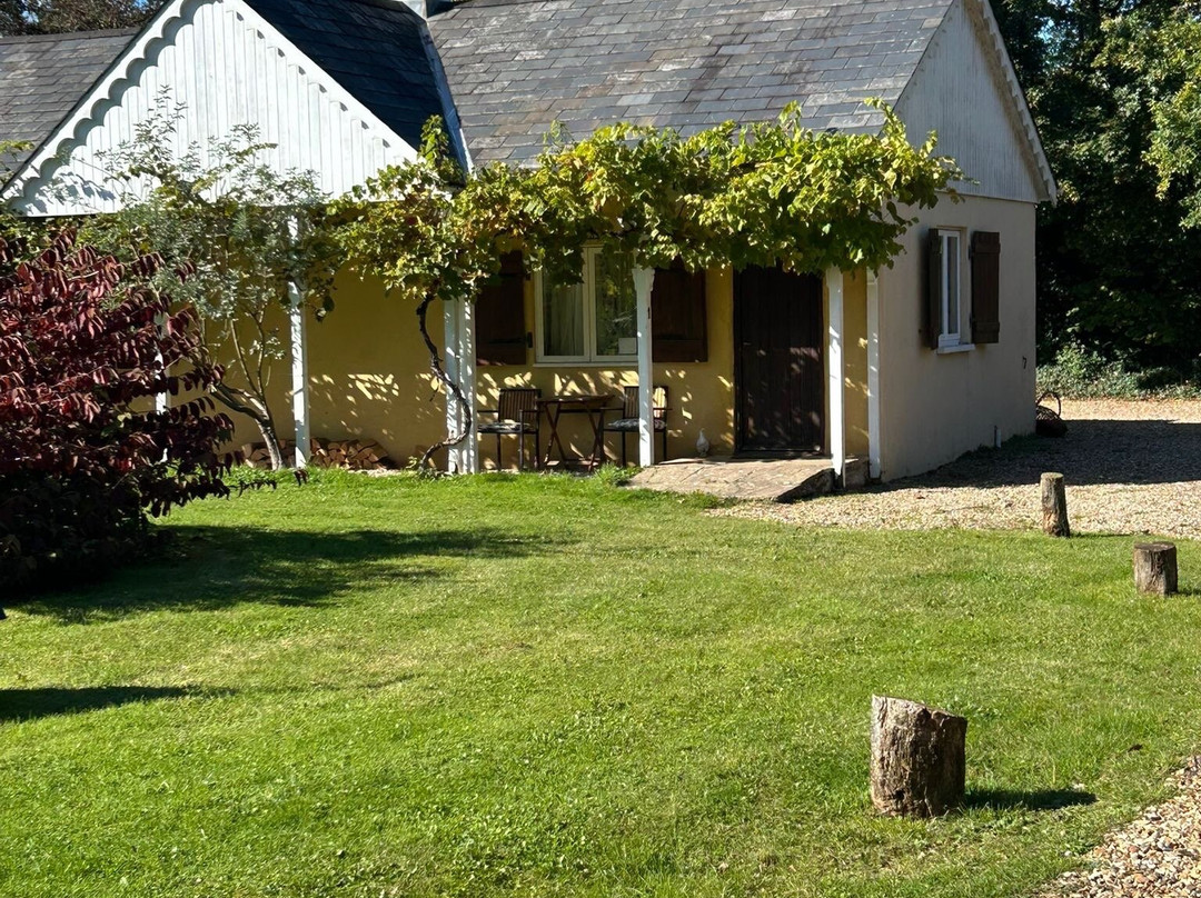 Glyndwr Vineyard-卡迪夫必去景点