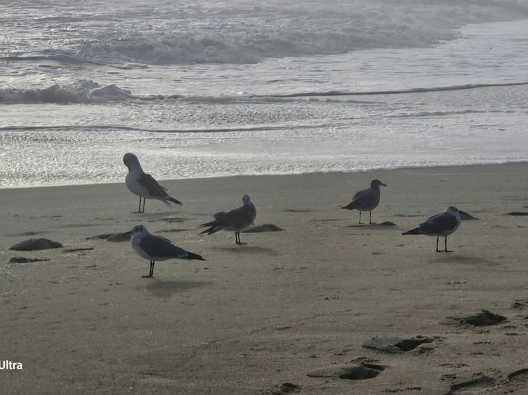 Mariner Inn & Suites主图