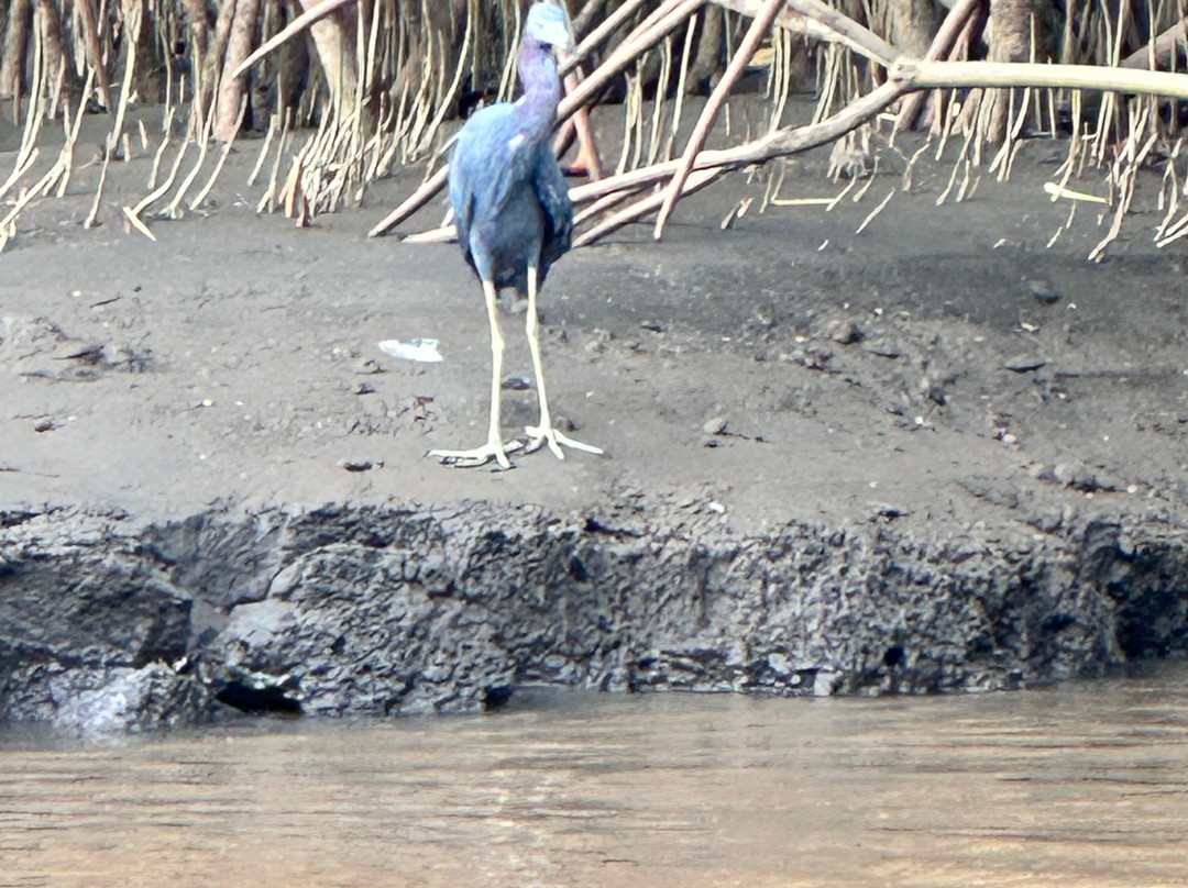 Nature Tours Gabriela-诺萨拉必去景点