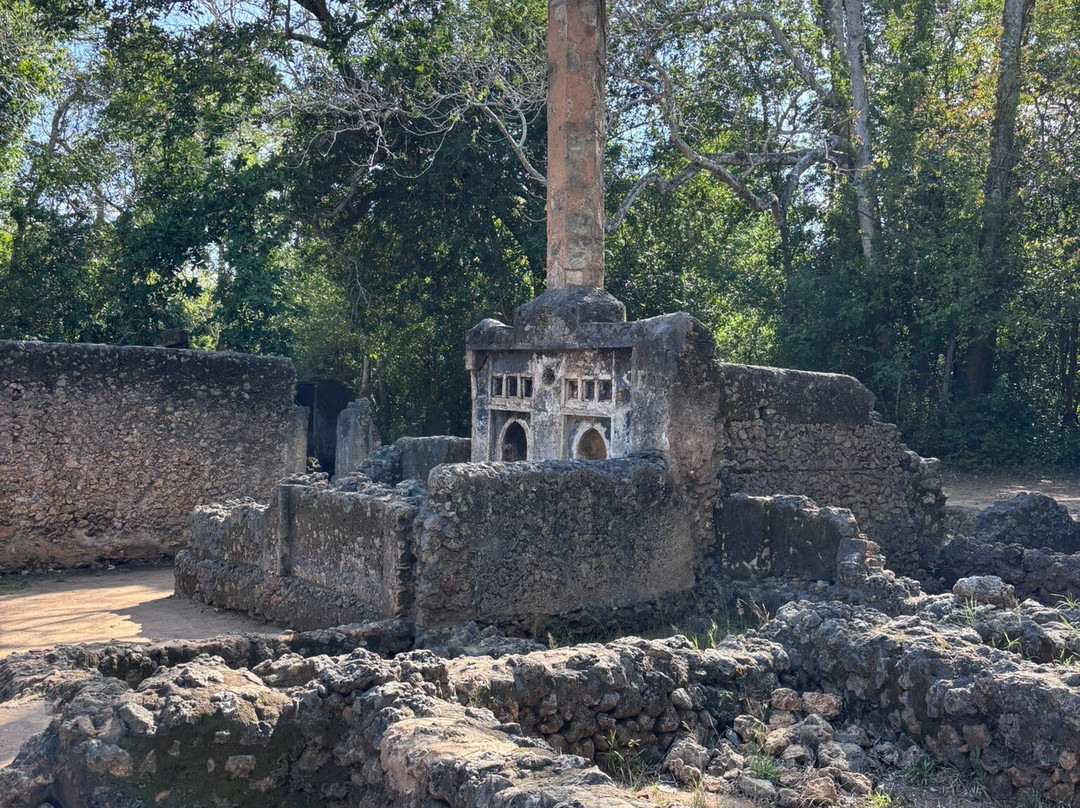 SavanaBeat - Safari & Tour in Kenya-瓦塔木必去景点