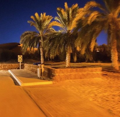 La Gazelle d'Or Resort & Spa