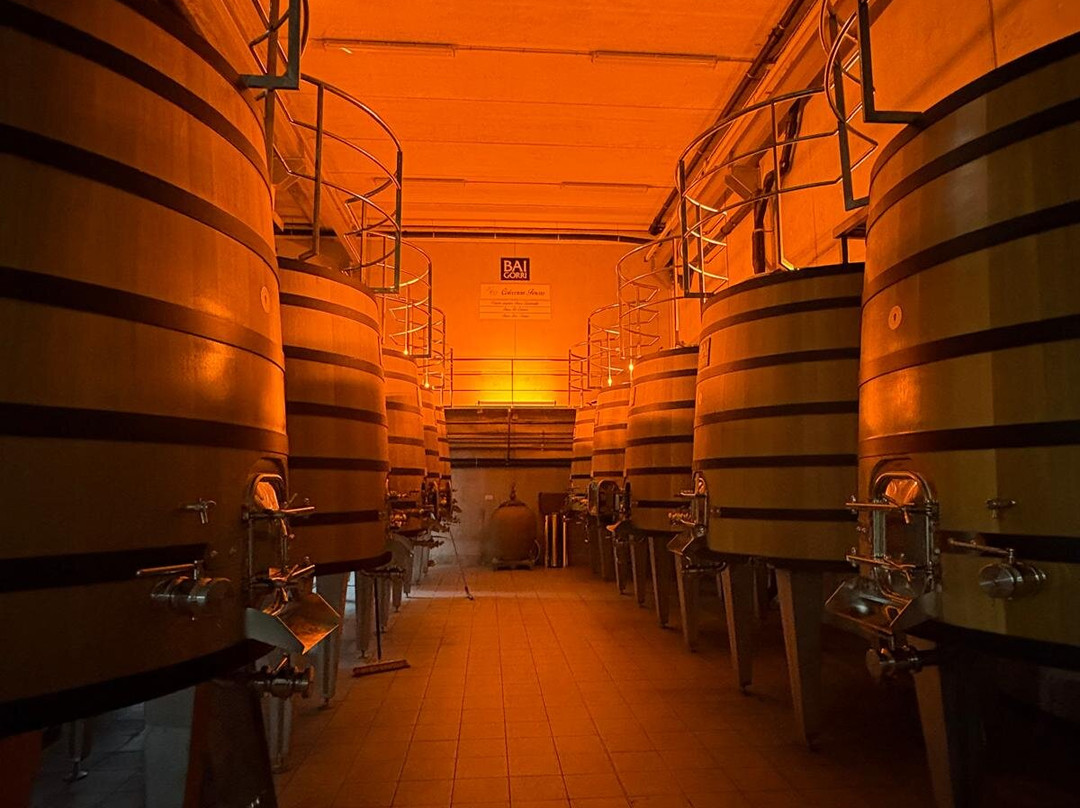 Bodegas Baigorri-Samaniego必去景点