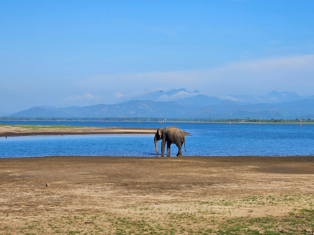 Walawe Natural Vibe Safari Service-乌达瓦拉瓦必去景点
