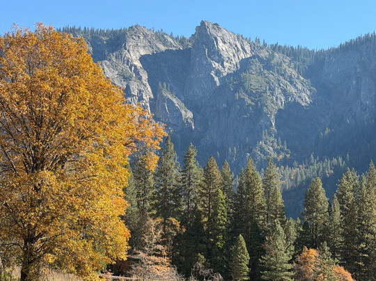 约塞米蒂发现之旅-奥克赫斯特必去景点