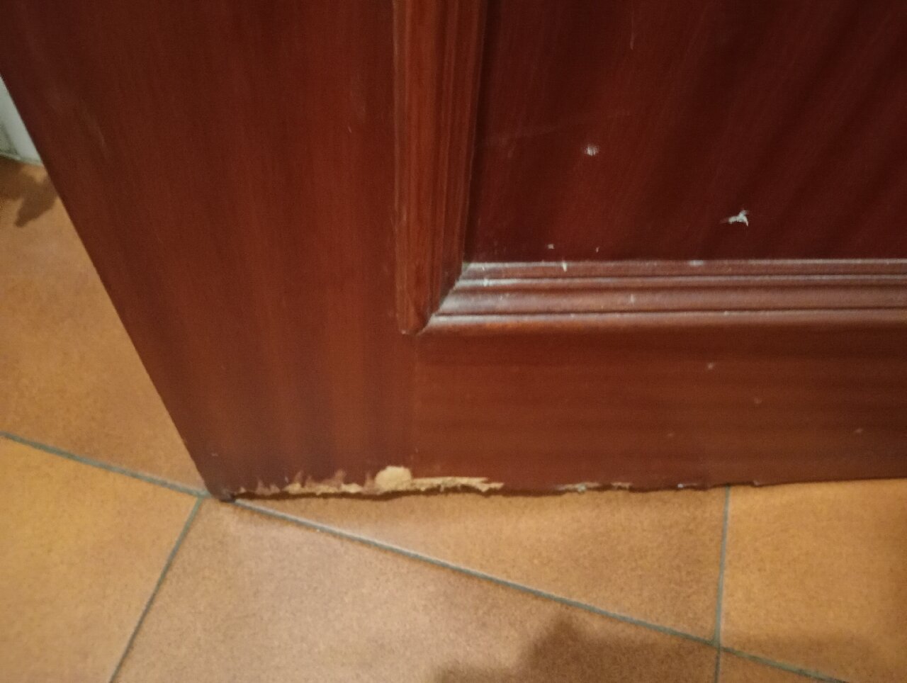 Hotel Rey Don Jaime-官方