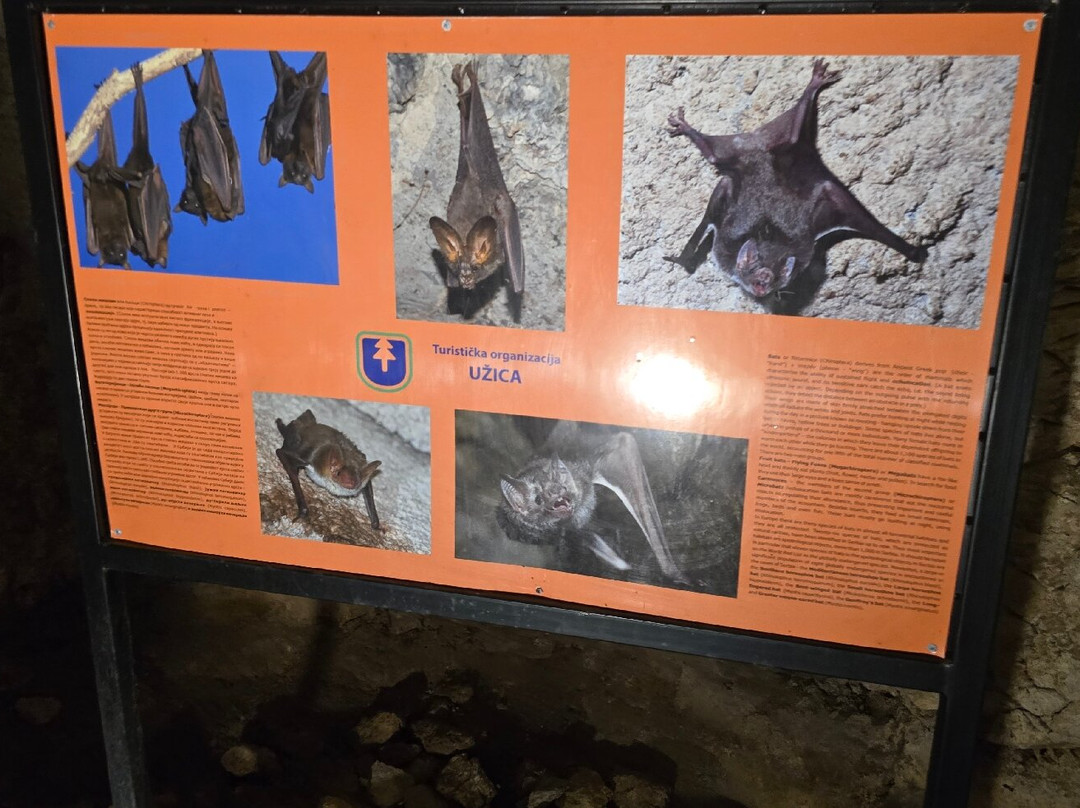 Potpećka Pećina-Potpece必去景点