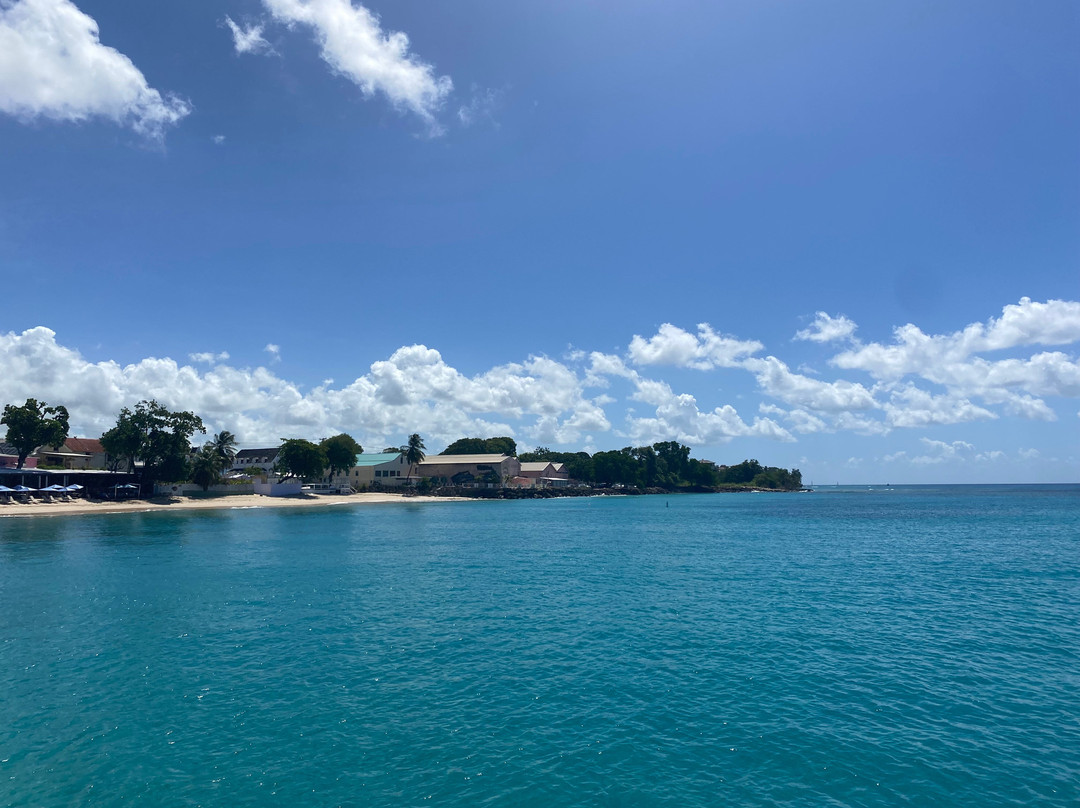 Ted's Tours-Hastings必去景点