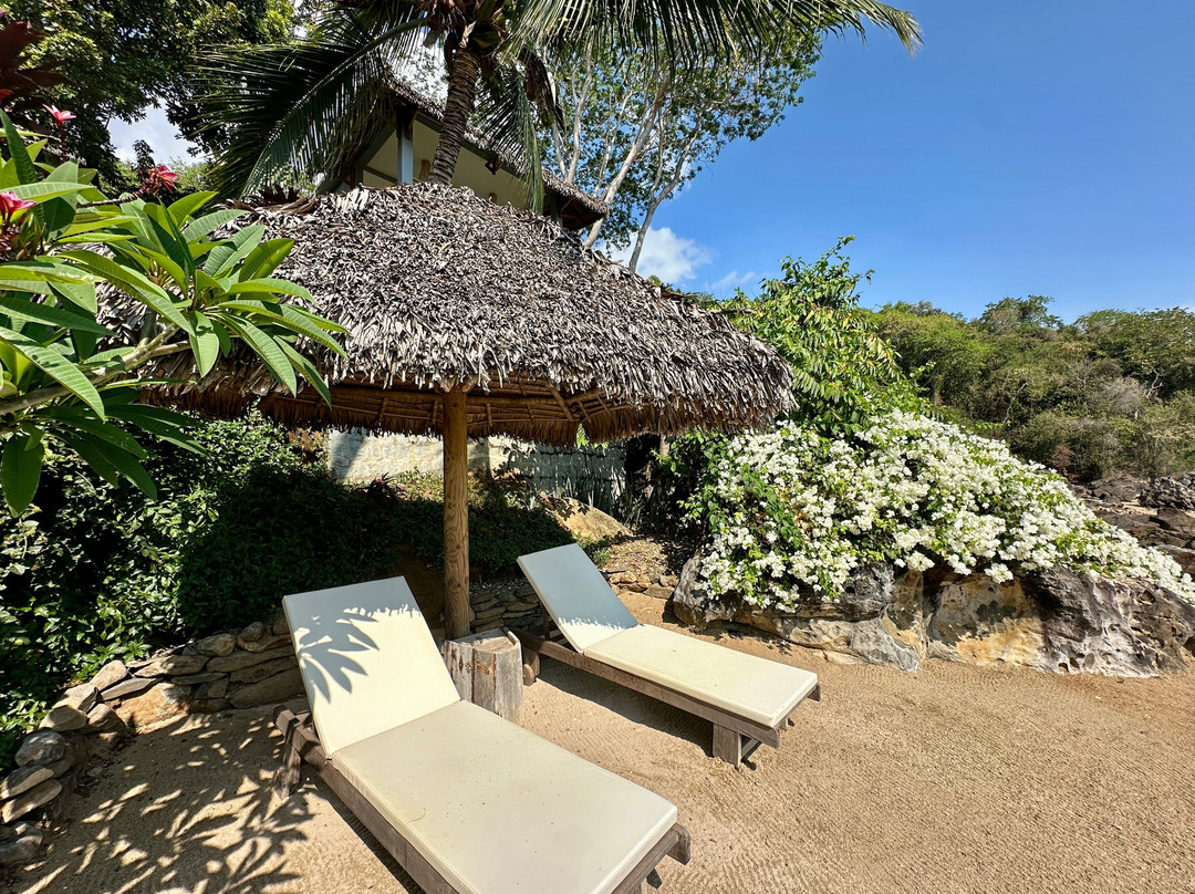 Komba On The Rocks主图