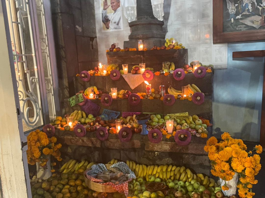 Pata De Perro Mx-墨西哥城必去景点