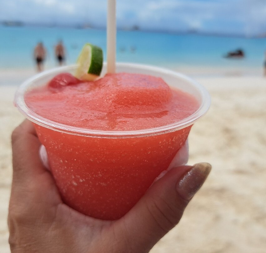 Lazy Lizard Water Adventures Barbados-布里奇顿必去景点