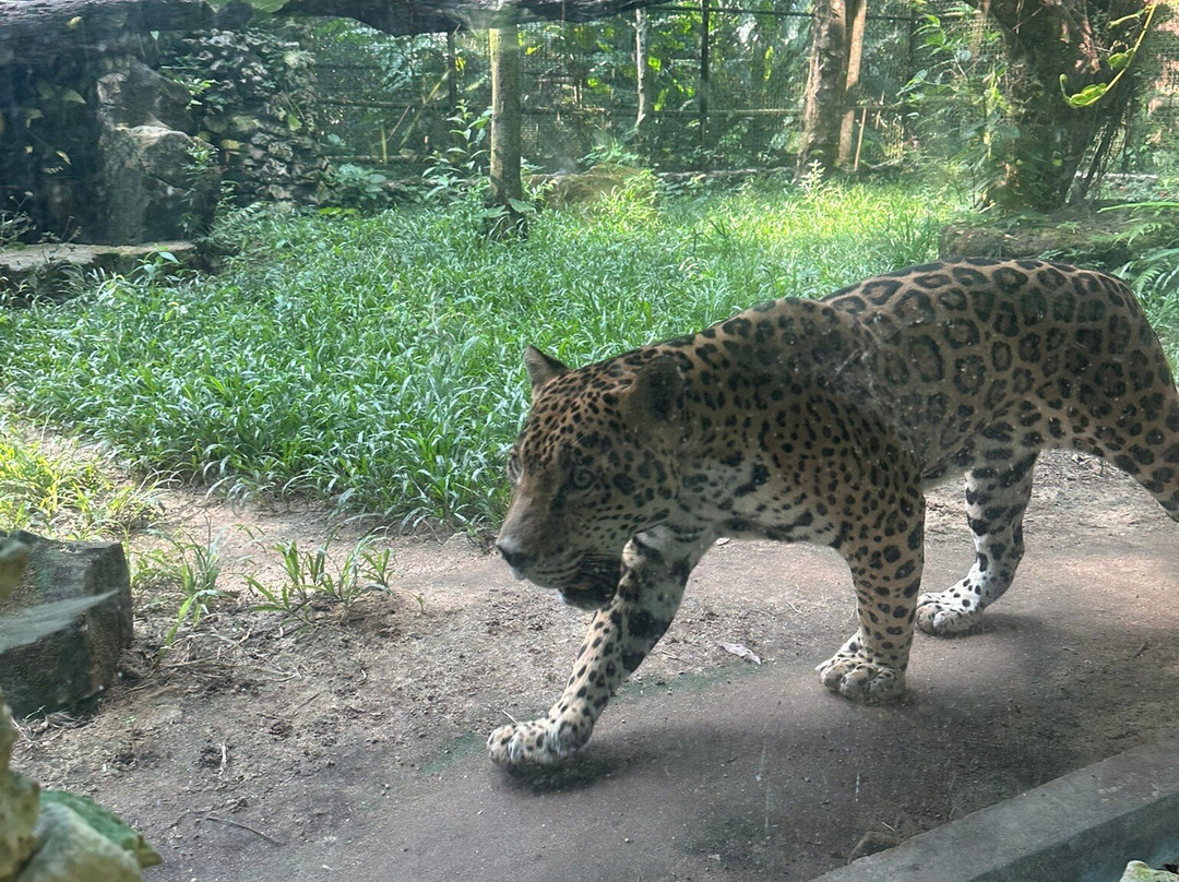 Aluxes Ecoparque-帕伦克必去景点