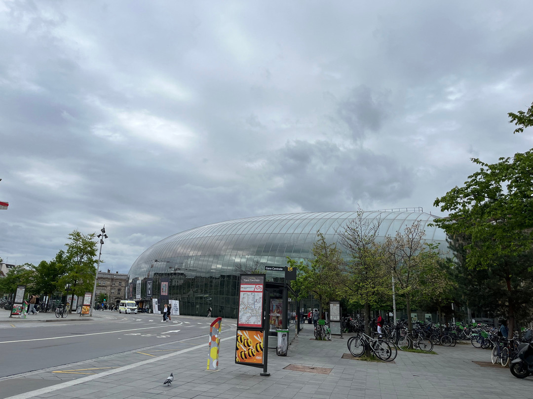 斯特拉斯堡城站-斯特拉斯堡必去景点