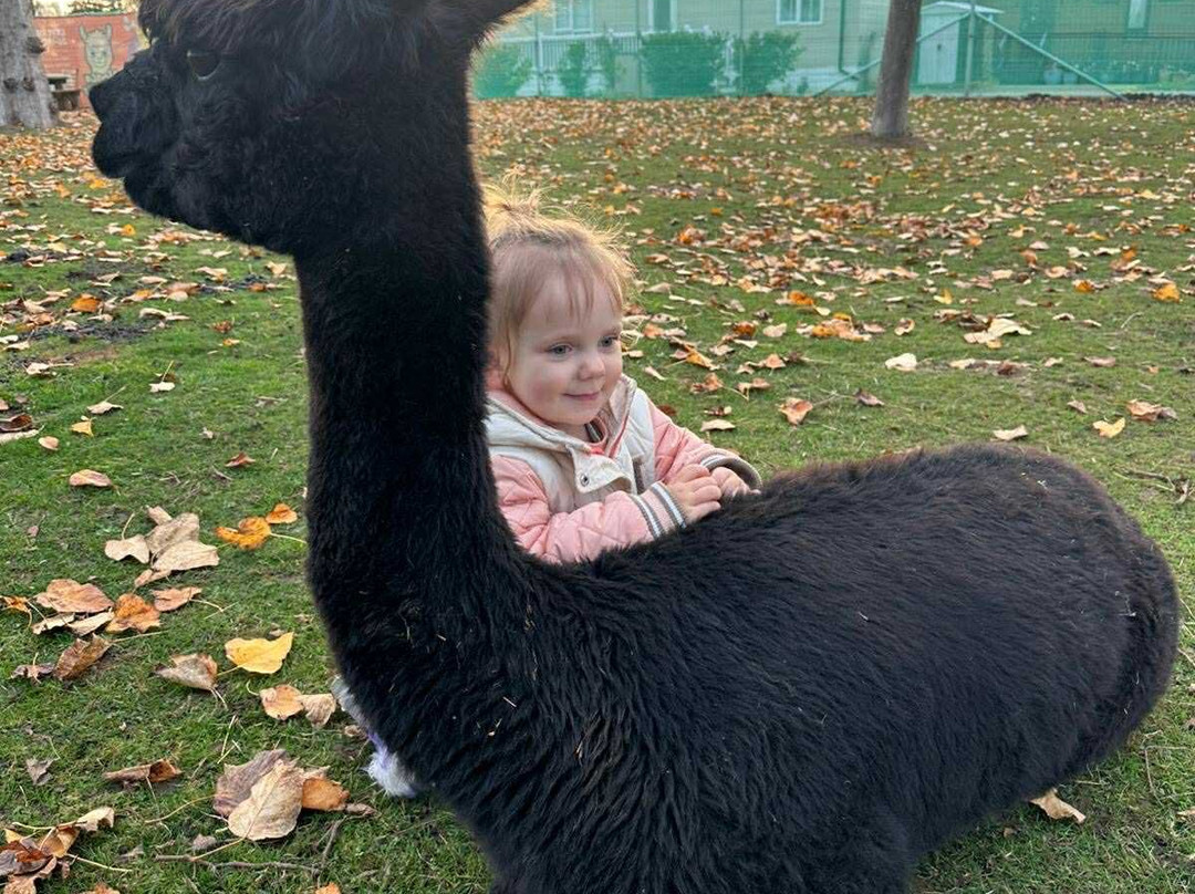 Billing Aquadrome-北安普敦必去景点