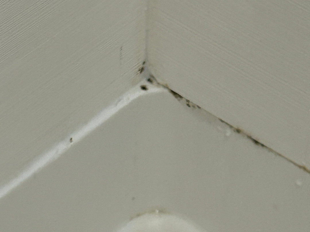 Baymont by Wyndham Kingsland主图