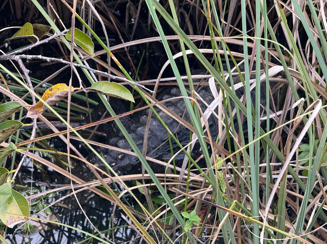 Florida National Parks Association