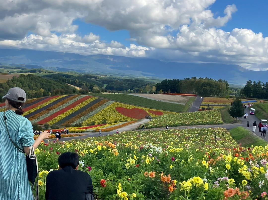 四季彩之丘-美瑛町必去景点