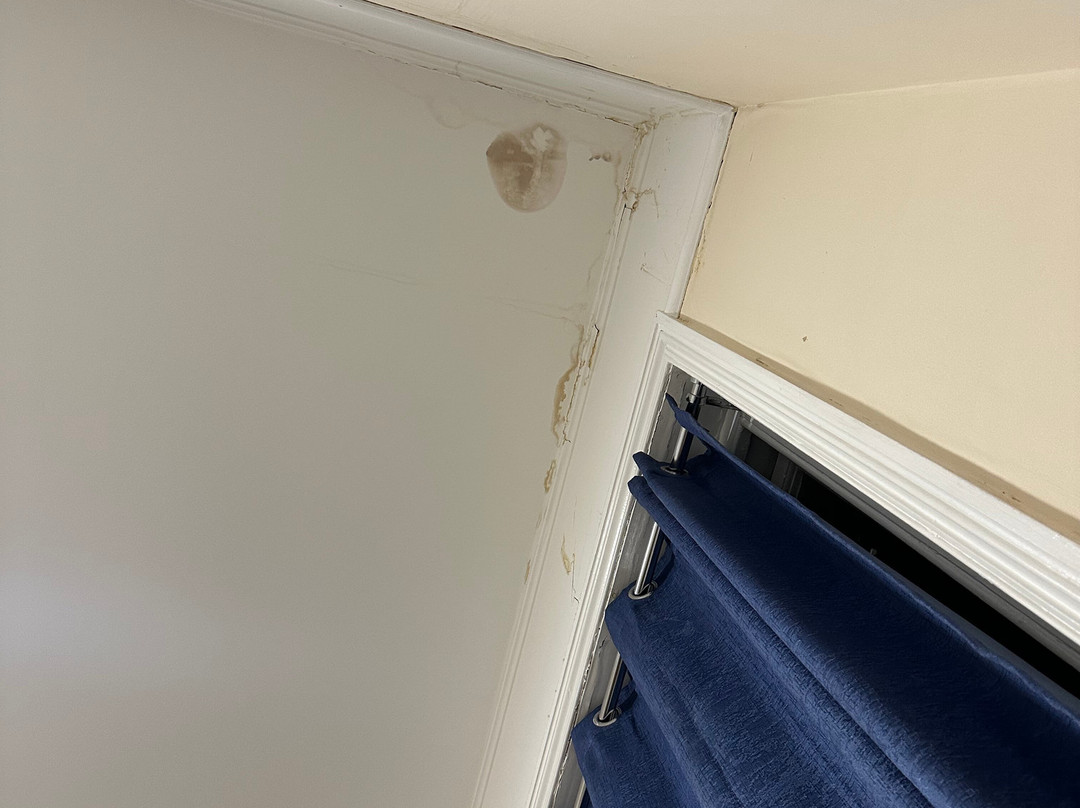 The Royal Hotel主图