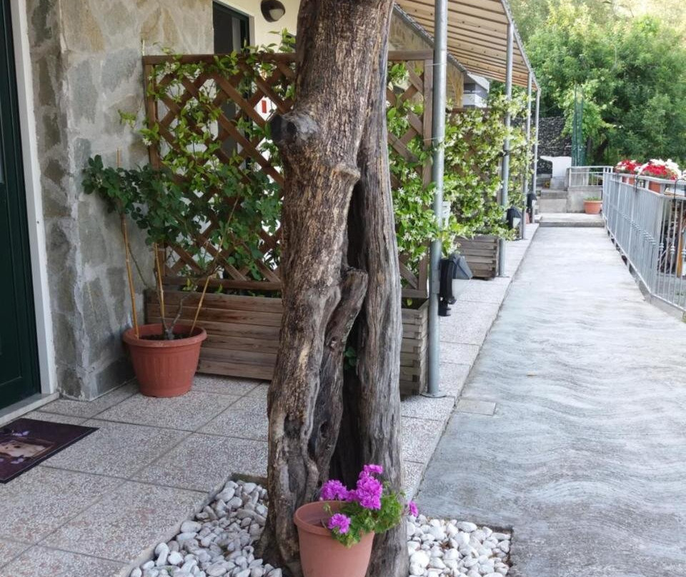 Vezzano Ligure酒店住宿-L'Araba Fenice