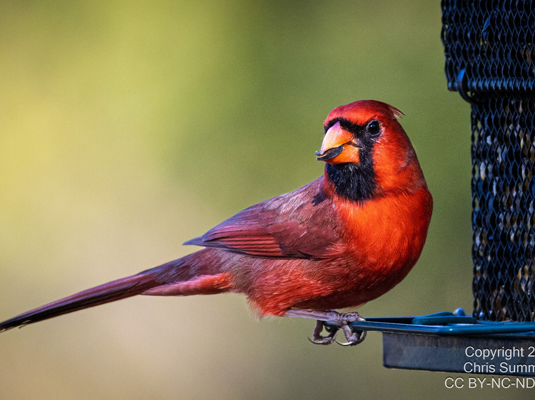 Goliad State Park & Mission Espíritu Santo State Historic Site-Goliad必去景点