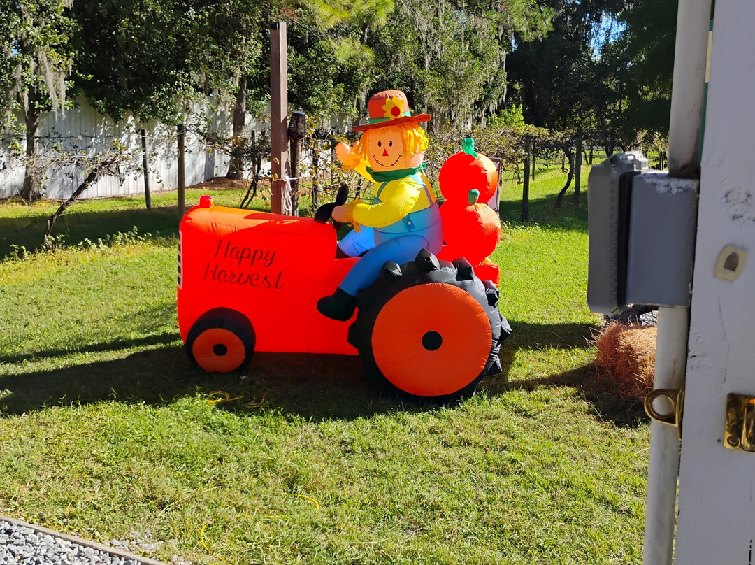 Keel And Curley Winery-普兰特城必去景点