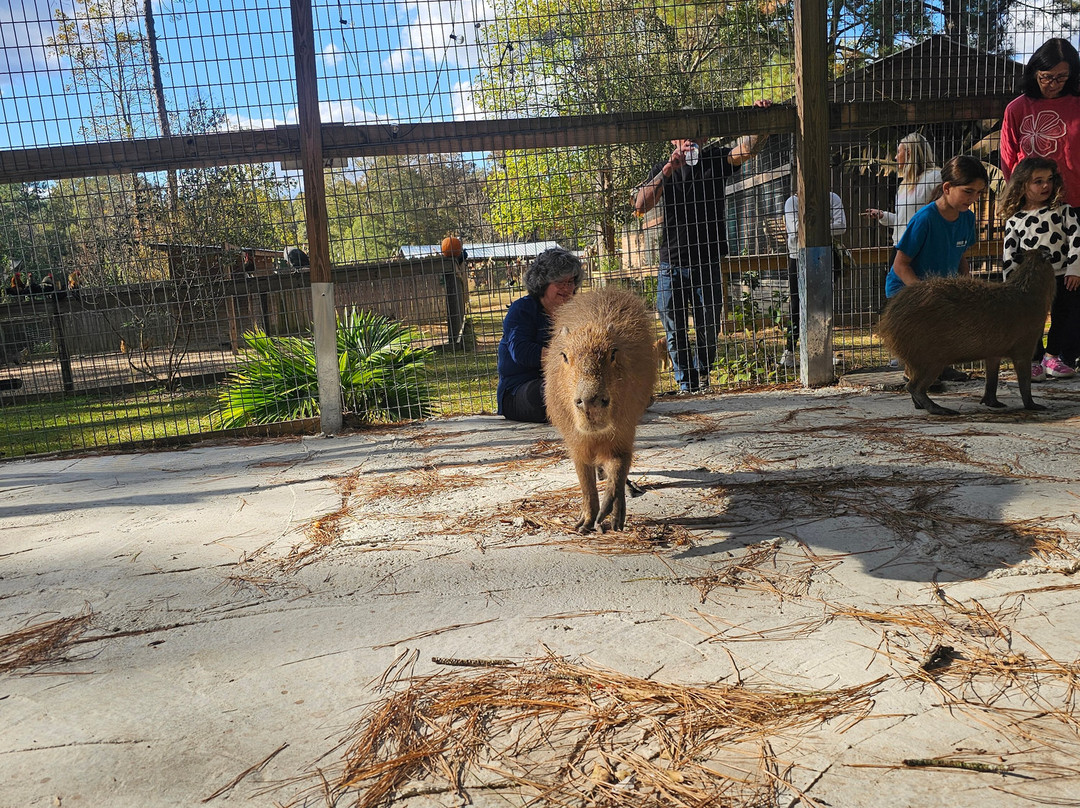 Wild Acres-McHenry必去景点