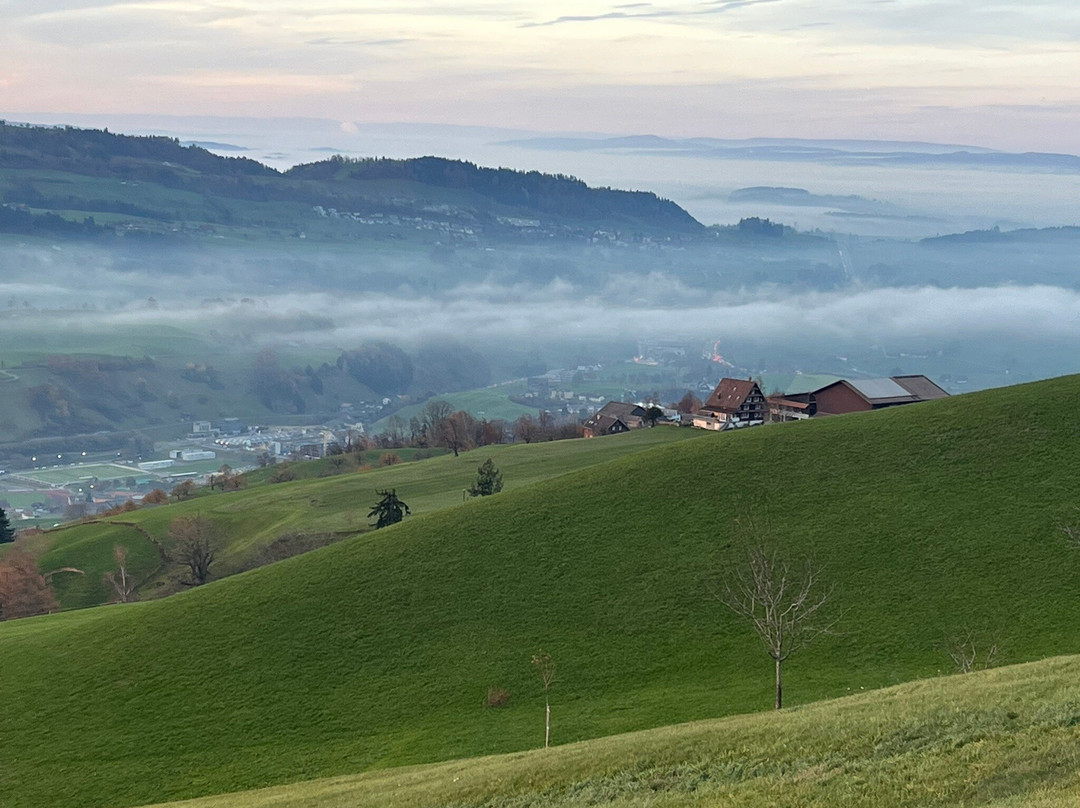 Luftseilbahn Seebodenalp-屈斯纳赫特瑞吉必去景点