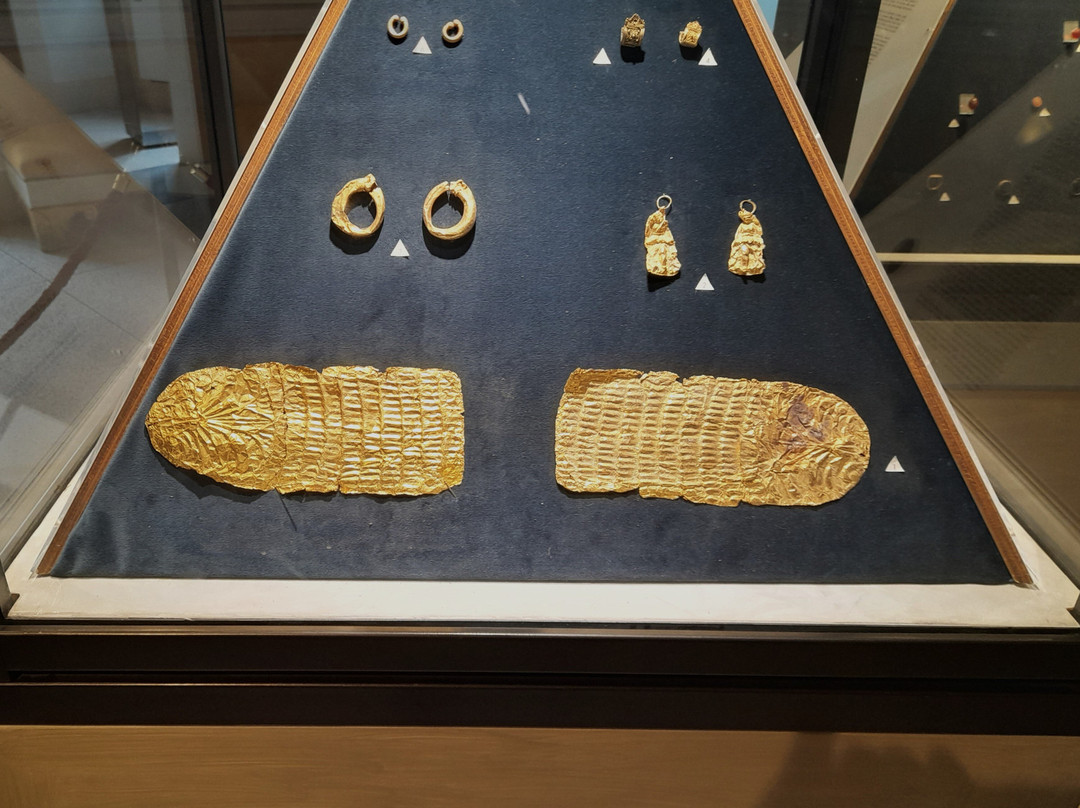 Museo Claudio Faina-奥尔维耶托必去景点