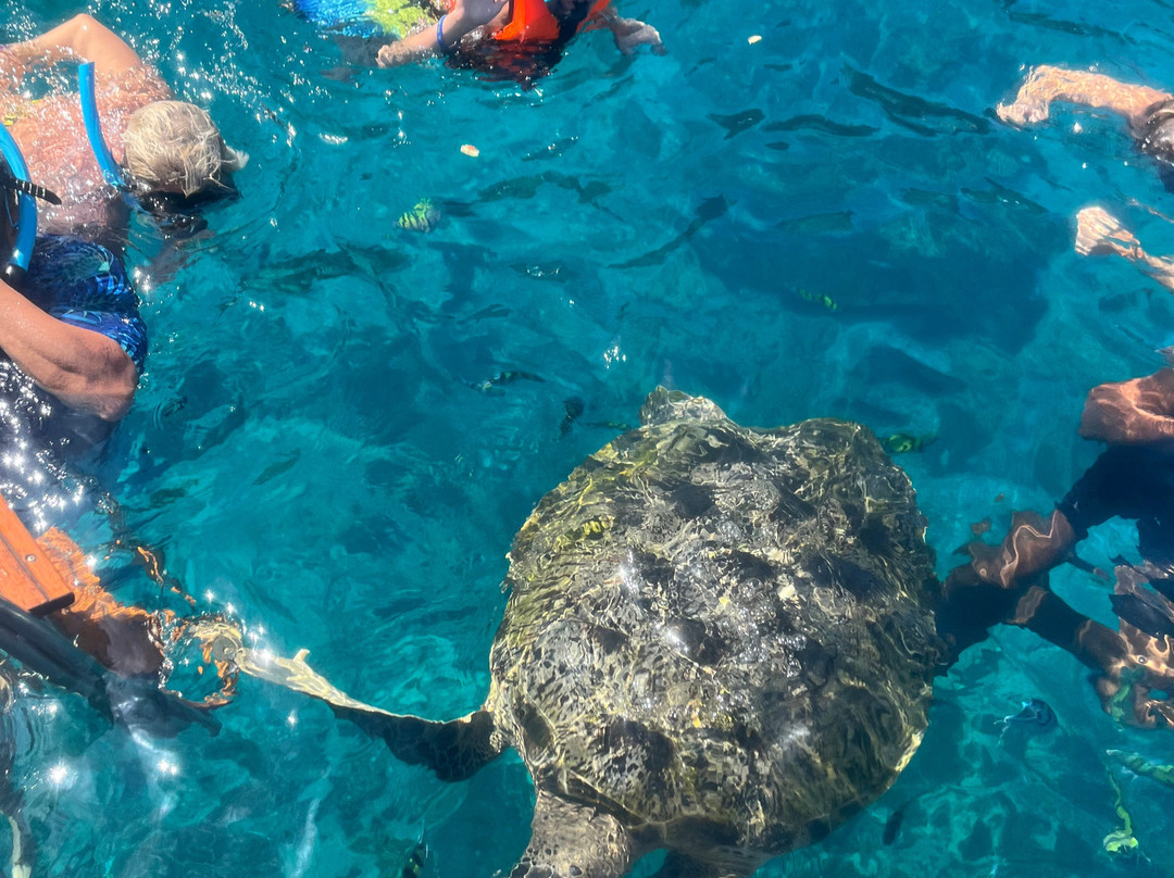 Phuket Cheap Tour-普吉岛必去景点