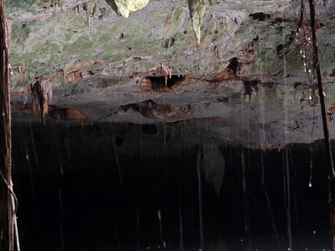 Cenote La Casa De Los Pájaros-Tizimin必去景点