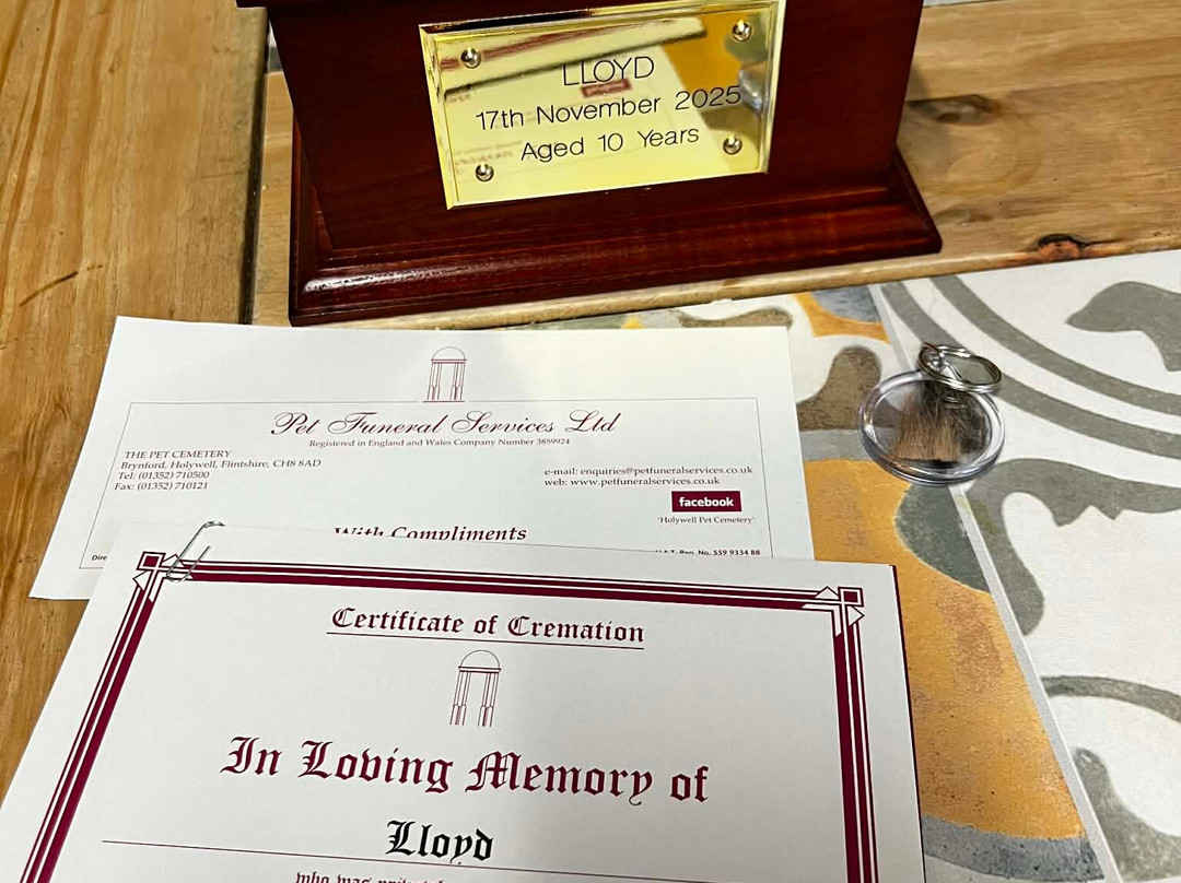 Holywell Pet Cemetery-Holywell必去景点