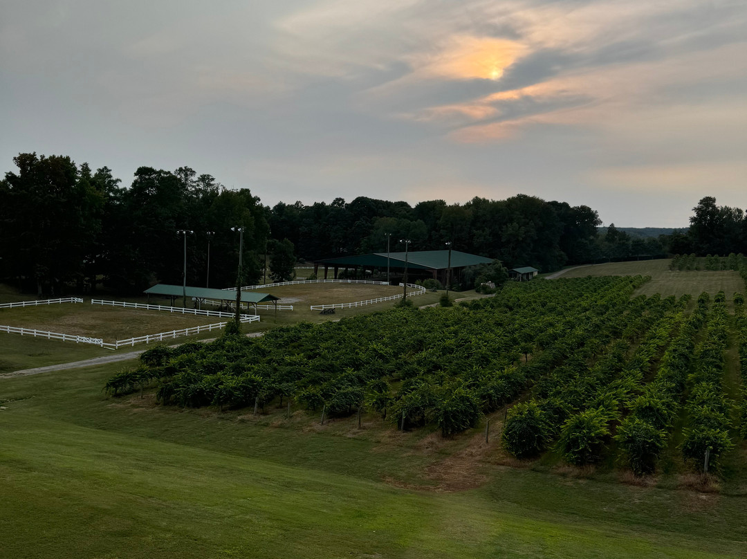 Hampton Inn & Suites Braselton主图