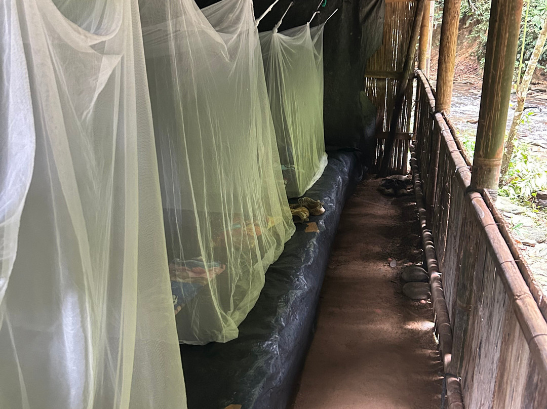 Sumatra Tour Adventures-武吉拉旺必去景点