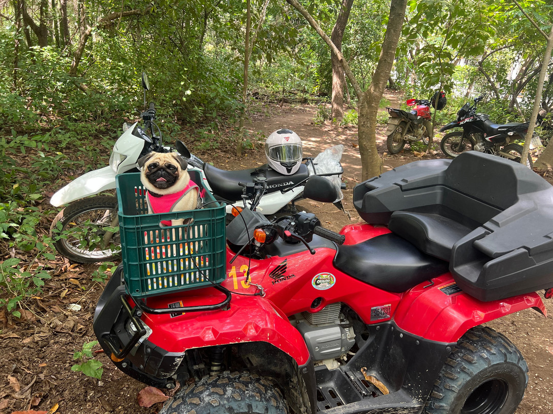 Monkey Quad Tours-诺萨拉必去景点