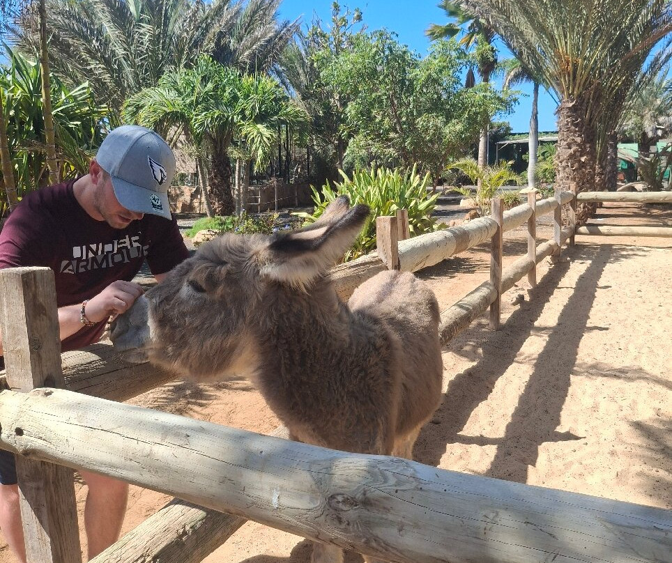 Viveiro, Botanical Garden & Zoo di Terra-圣塔玛丽亚必去景点