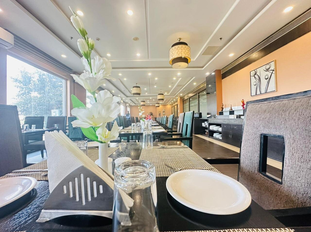 The Radiant Swan主图