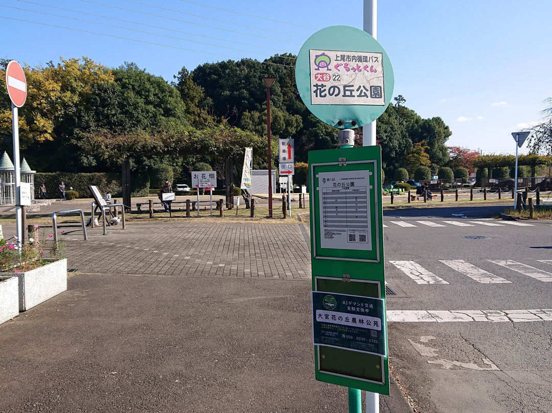Omiya Hana no Oka Norin Park-埼玉市必去景点