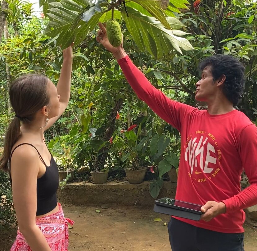 Ella Nine Arch Spice Garden-埃勒必去景点