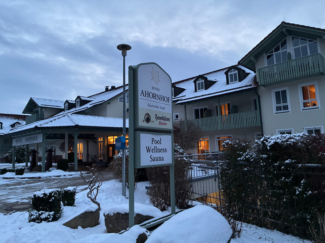 Hotel Ahornhof主图