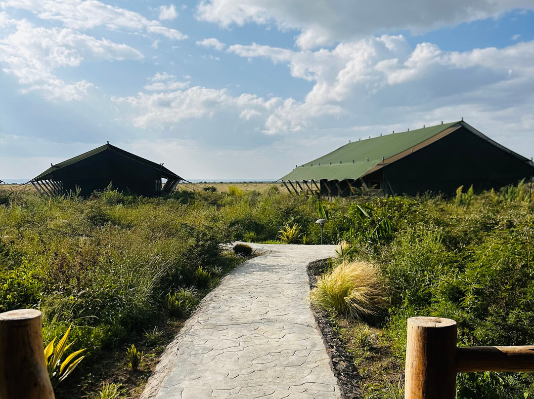 African Hartebeest Safaris-内罗毕必去景点